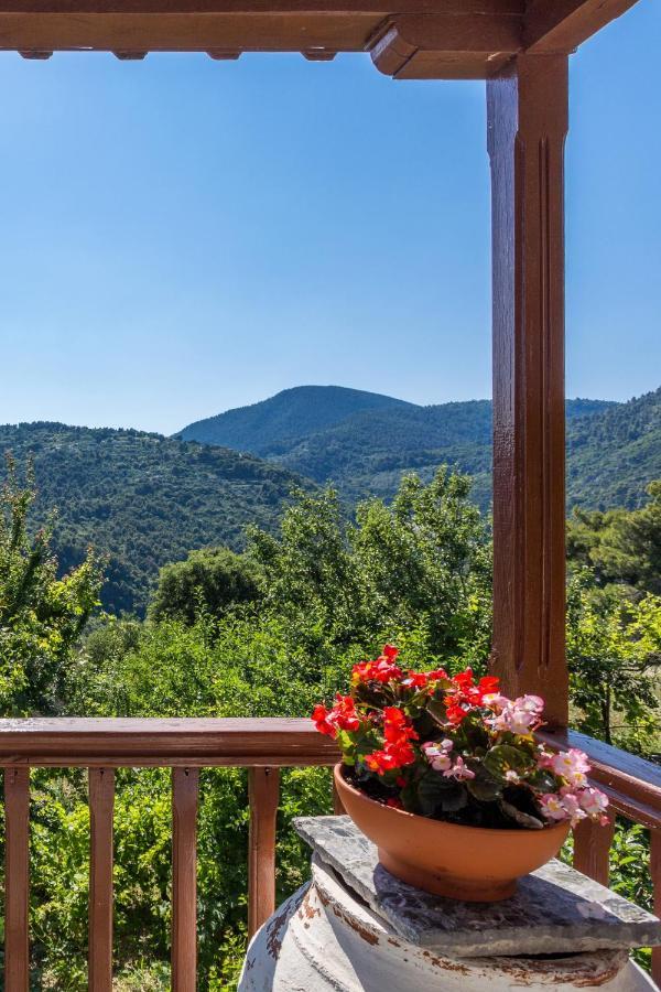 Country Villa Ouranos Skopelos Town Bagian luar foto