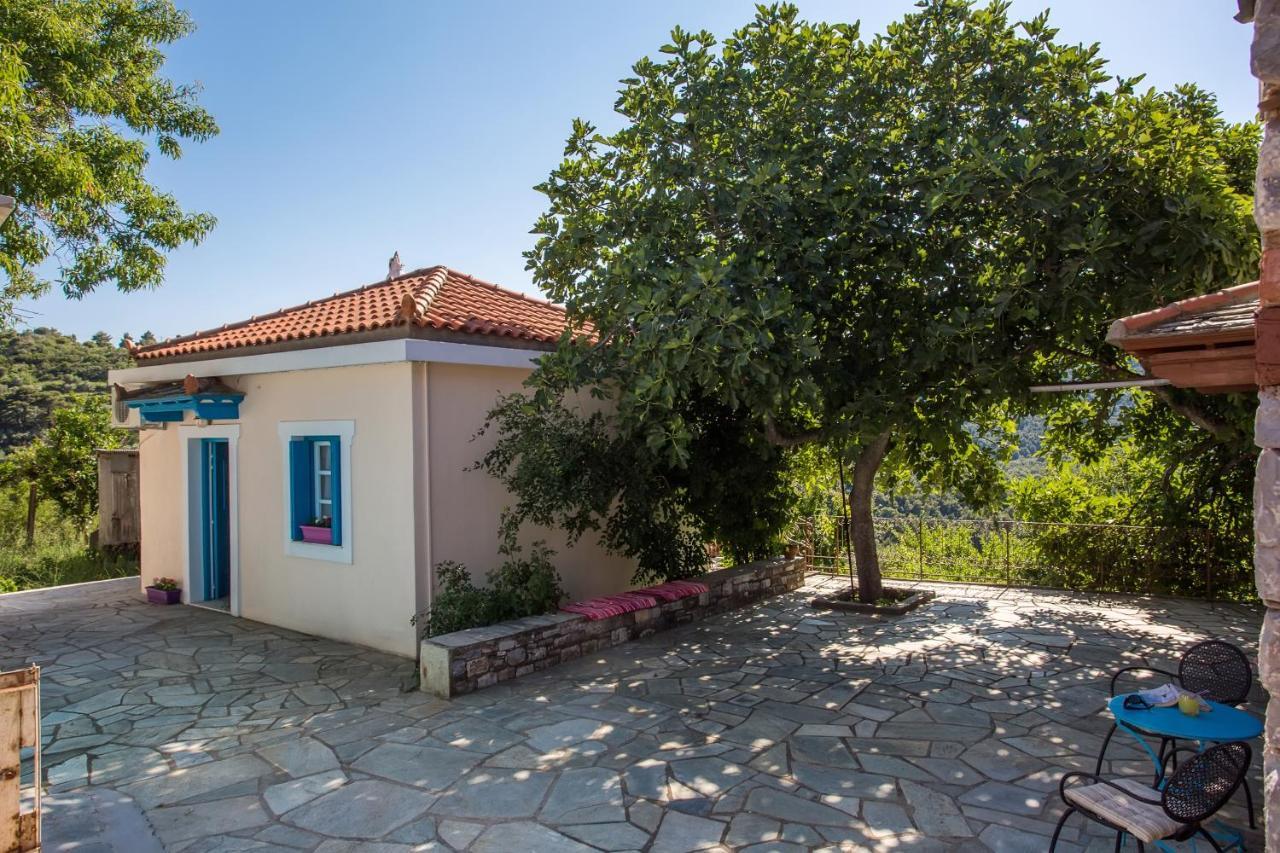 Country Villa Ouranos Skopelos Town Bagian luar foto