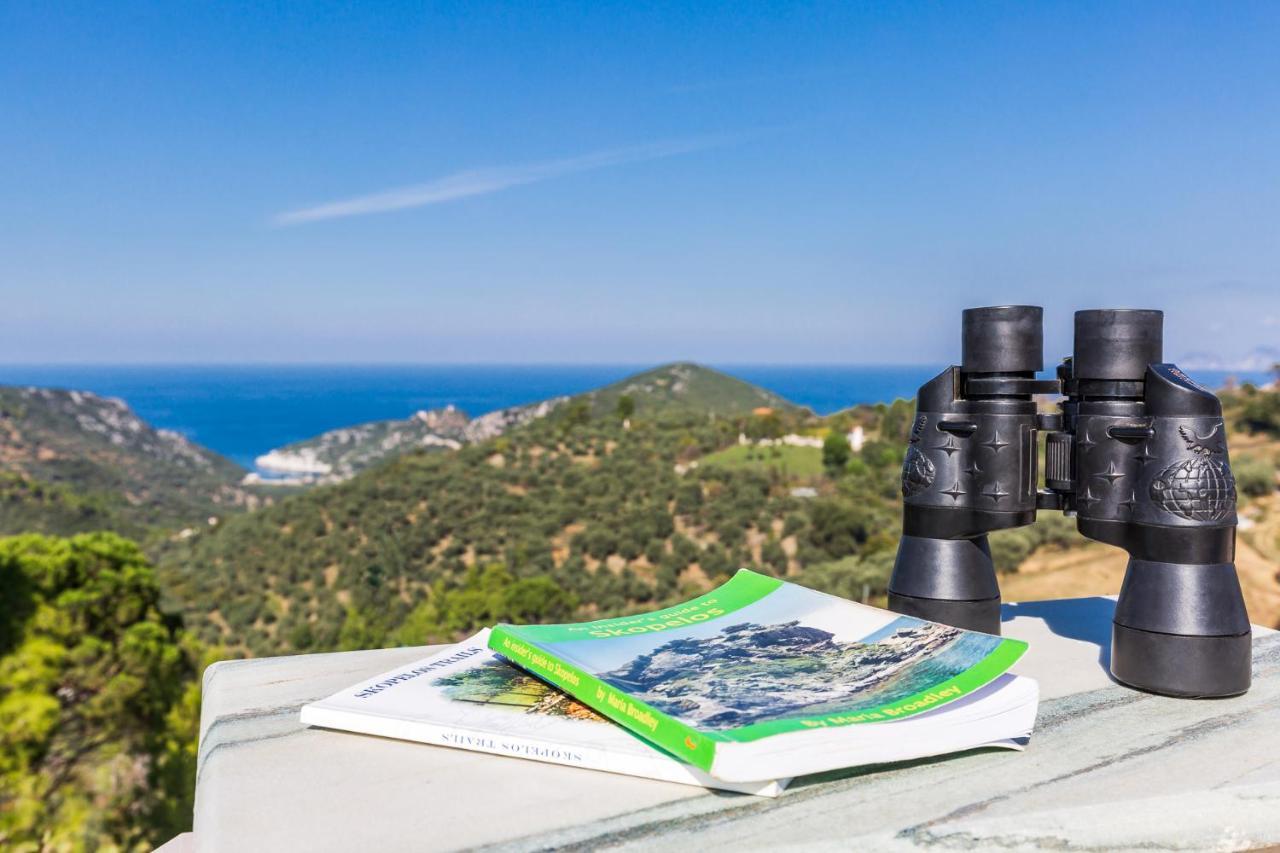 Country Villa Ouranos Skopelos Town Bagian luar foto